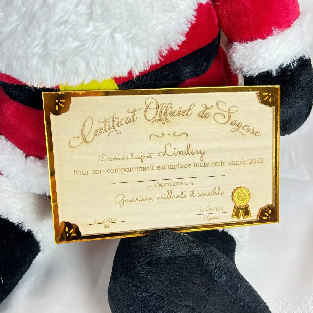 Certificat de sagesse officiel délivré par le père noël Laurie Déco et lumières